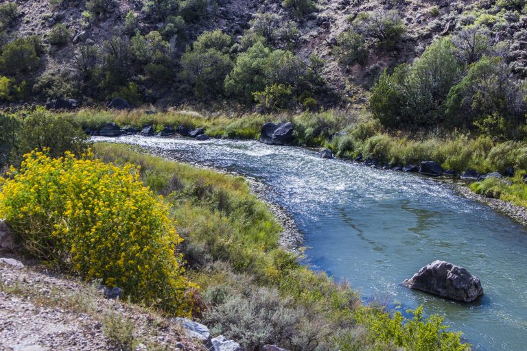 Why does Albuquerque’s water taste funny?