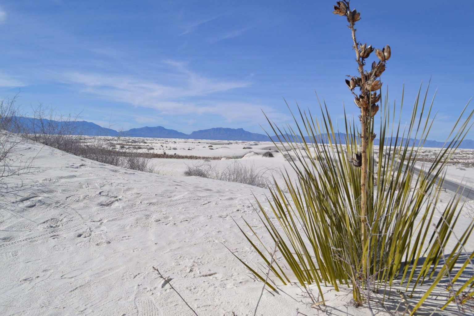 Why is the sand white at the White Sands National Monument? New