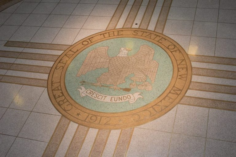 NM In Depth maps results of state legislative races