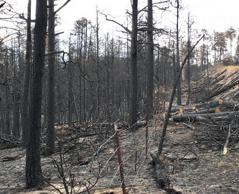 Increasing Drought Threatens Jemez Communities