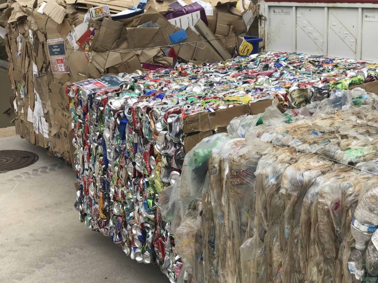 State Budget Choking UNM Sustainability Goals