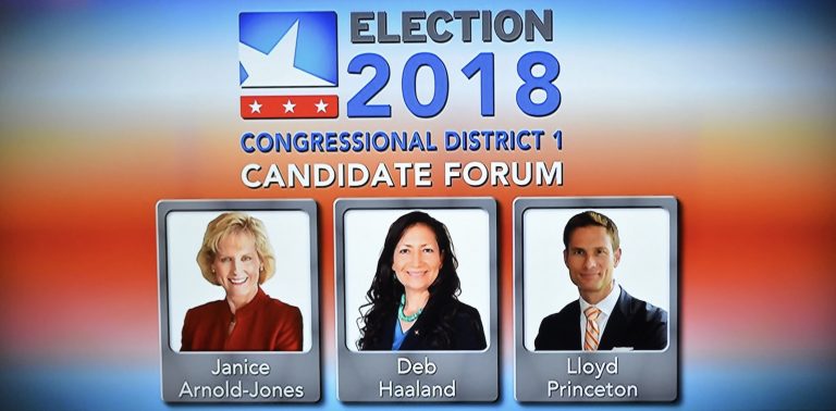 NM District One congressional candidates debate job creation