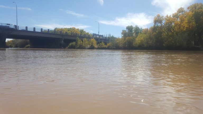 Immigration — issue in Second Congressional District and life of a student