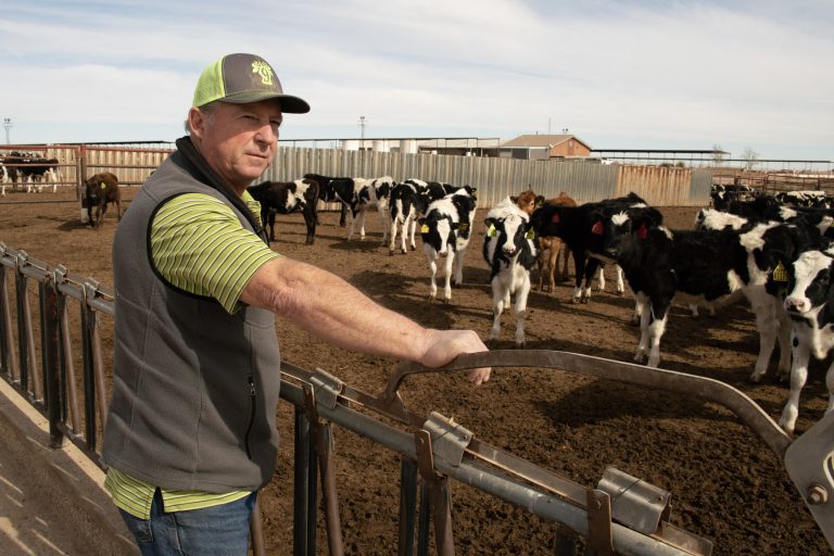 Till the cows come home