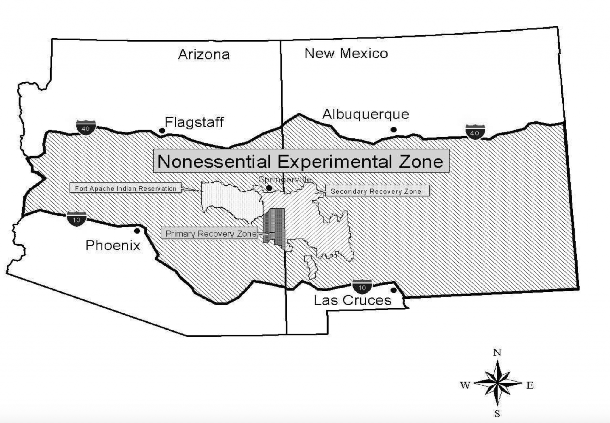 Mexican grey wolf population is growing, but still endangered New