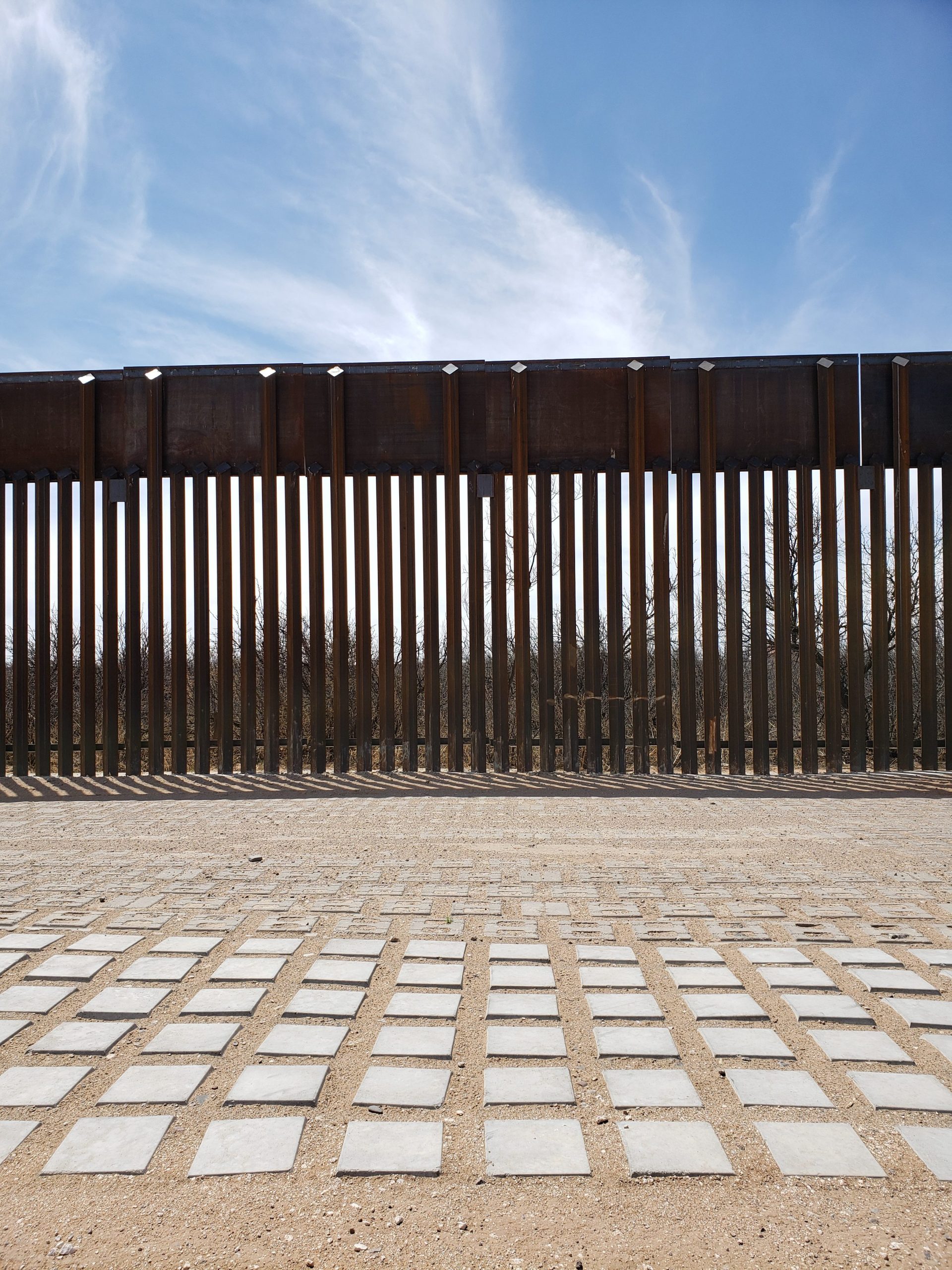 Critics warn border wall threatens wildlife – New Mexico News Port