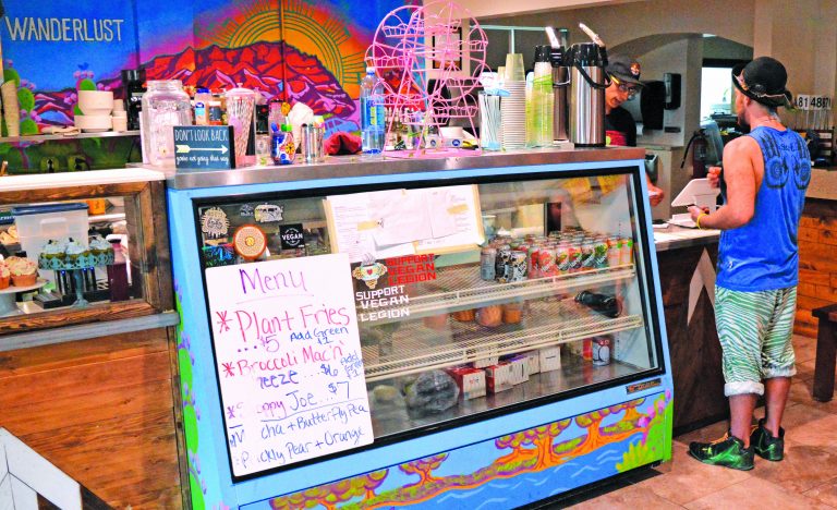 Vegan eatery serves climate consciousness