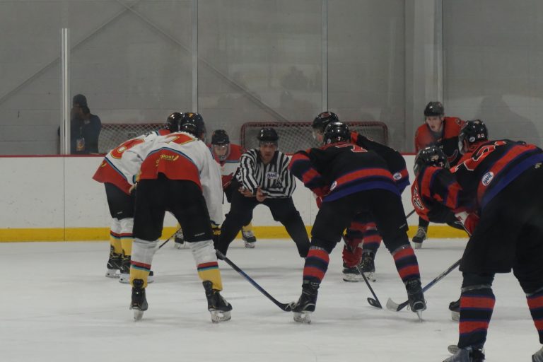 Ice Wolves in the desert