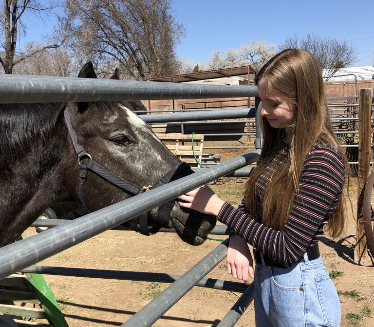 What a census undercount would mean for New Mexico