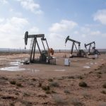 New Mexico Primary 2026: New Mexico House of Representatives, District 4