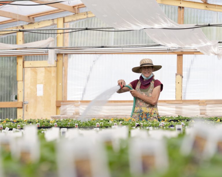 Local plant nursery doing well despite pandemic