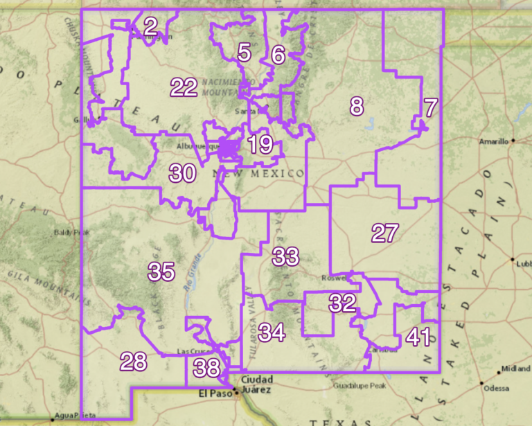 Lawmakers protected themselves when redistricting, report finds