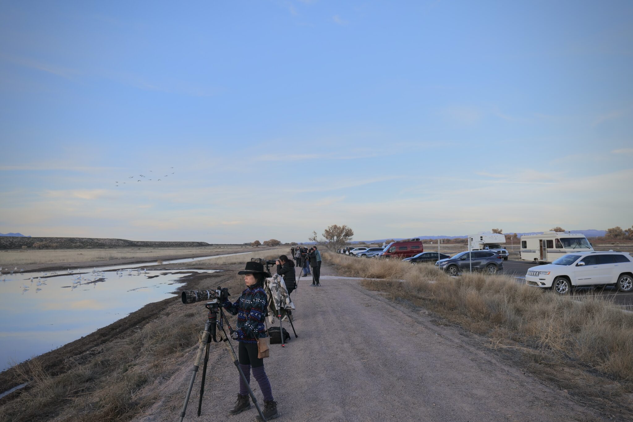 Bird lovers flock to Bosque del Apache for the Festival of the Cranes