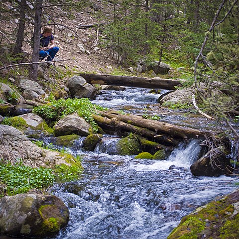 Mountain Stream Santa Fe National Forest (7271540396)