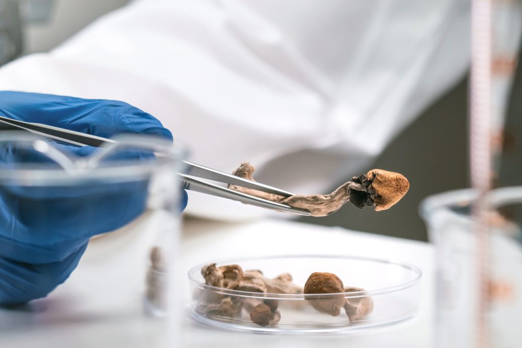 Psilocybin And Magic Mushrooms