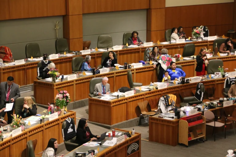 Amid fears about ICE, lawmakers consider optional Native American designation on IDs