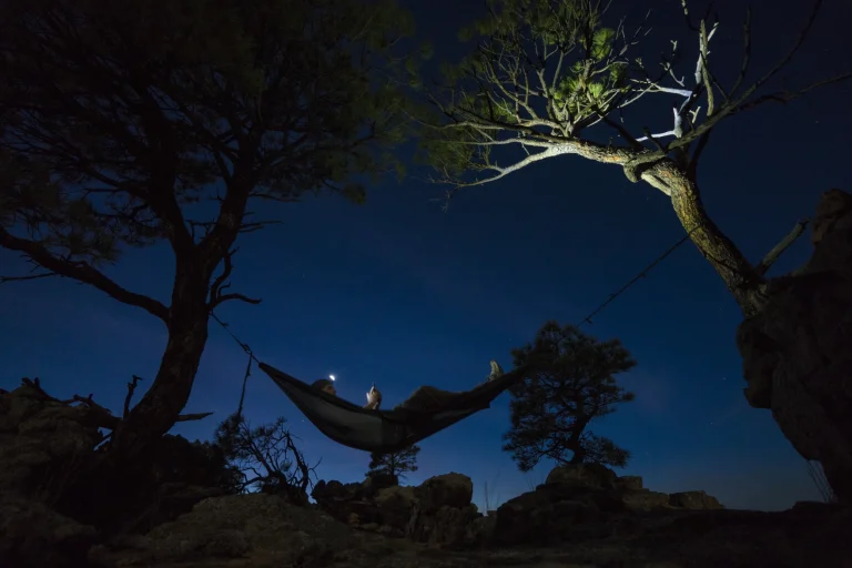 Trump’s conservation rollbacks spark widespread bipartisan concern in New Mexico, poll finds