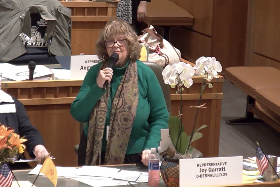 Rep. Garratt speaks during final House session.