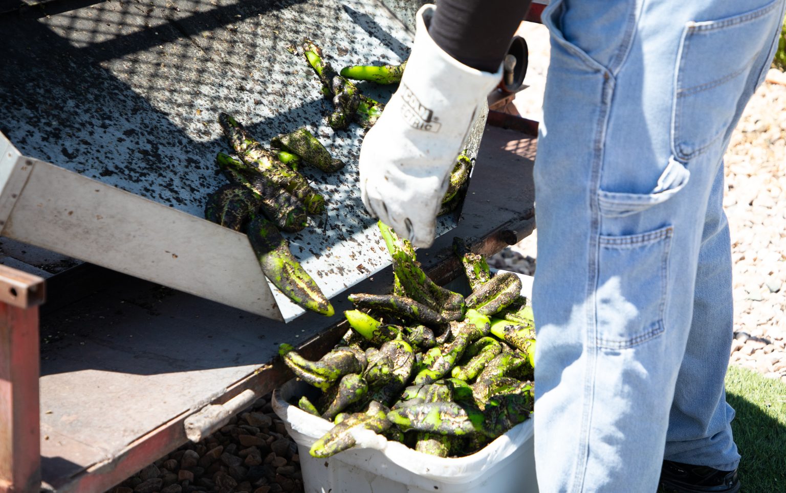 The Rail Yards Market Returns – New Mexico News Port