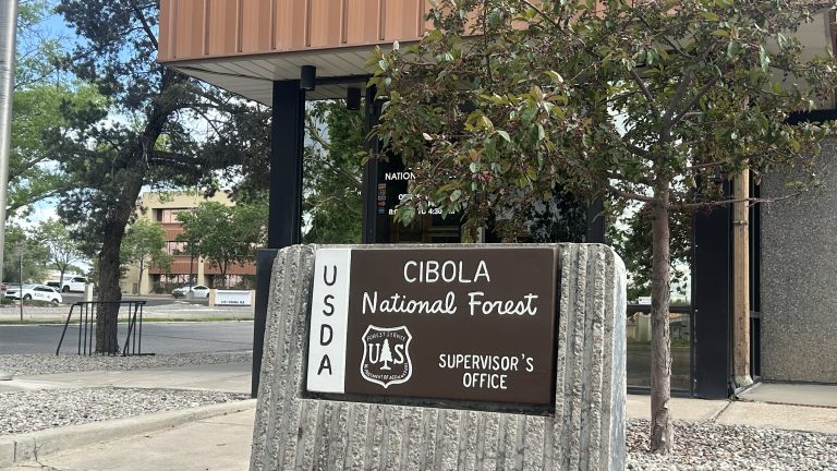 Forest Service restructuring could affect New Mexico public lands