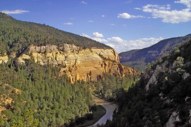 New Mexico Primary 2026: NM House of Representatives, District 41