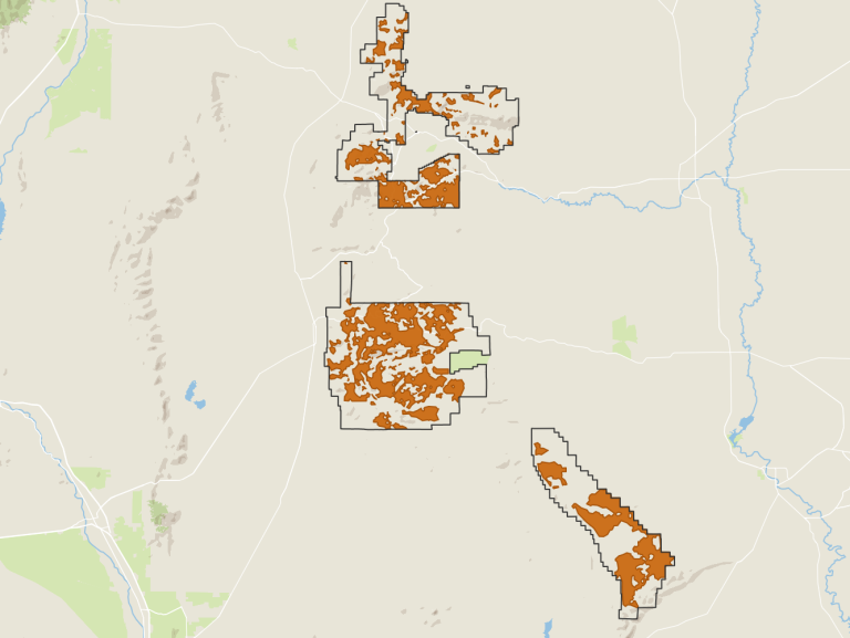 With fewer wildlife habitat protections, logging advocates eye New Mexico forests
