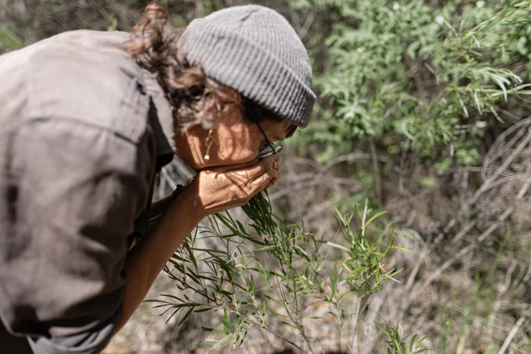 Global warming is killing biodiversity and our ability to smell