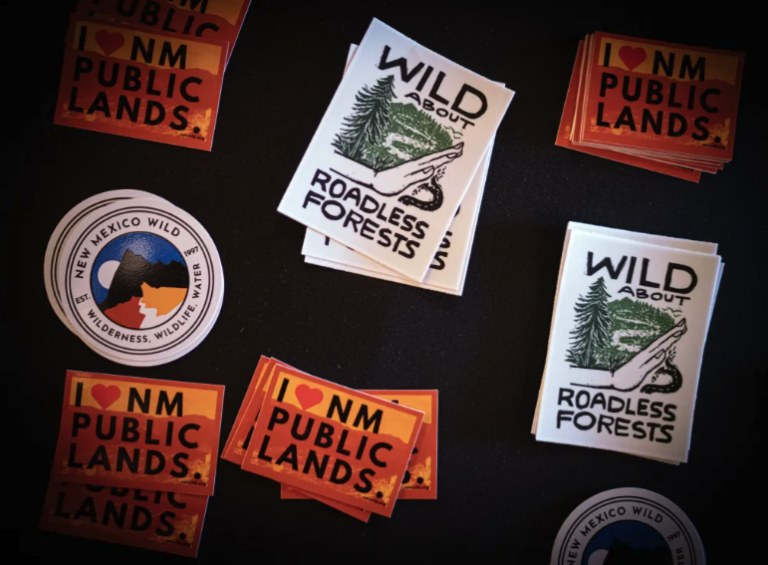 Environmental groups continue to fight ‘Roadless Rule’ repeal