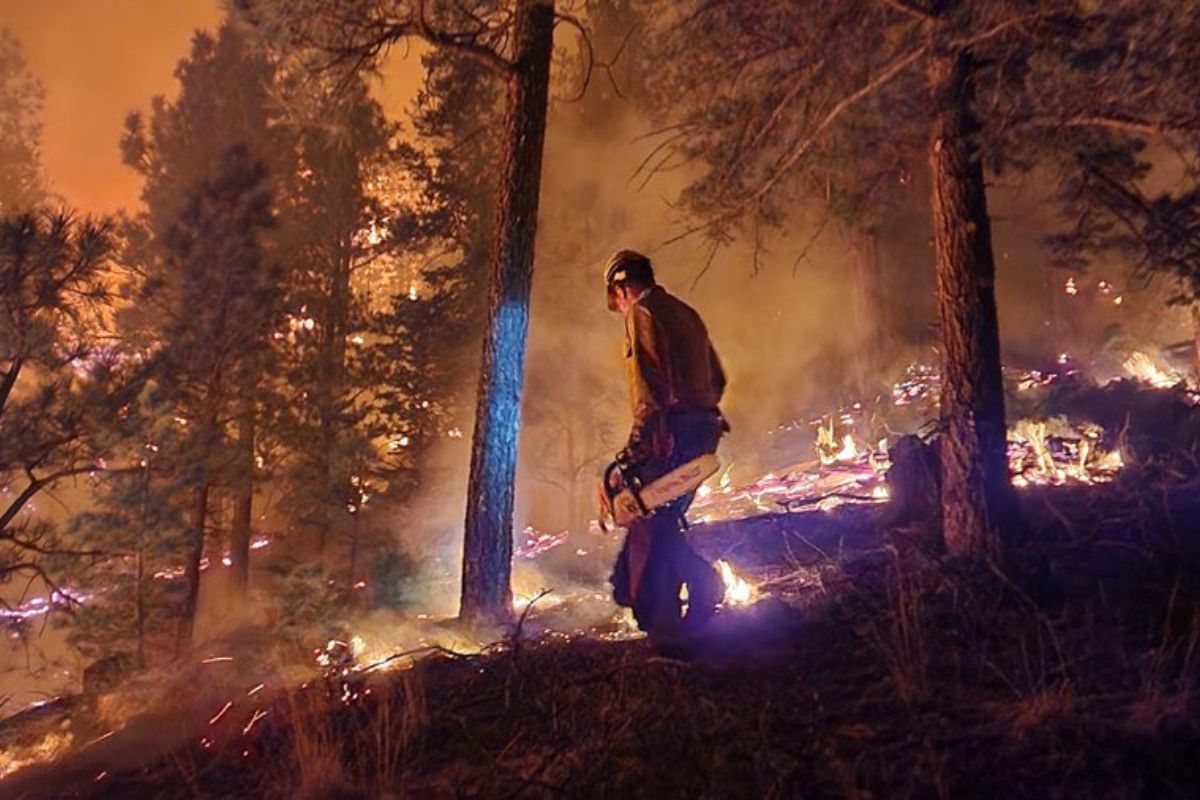 A firefighter works to contain a wildfire. New Mexico is seeking more than $61 million from FEMA for National Guard flood control and debris removal tied to the Hermit’s Peak/Calf Canyon Fire.