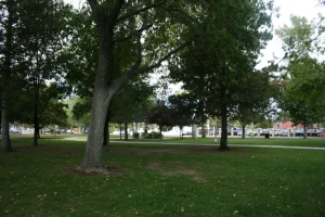 Signs displaying Robinson Park’s restricted hours and photos from protest on Oct.10, 2026, in Albuquerque.