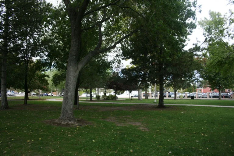 Robinson Park: Safety and homelessness intersect in Albuquerque neighborhood