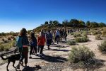 Hike to End Hunger brings Albuquerque community together