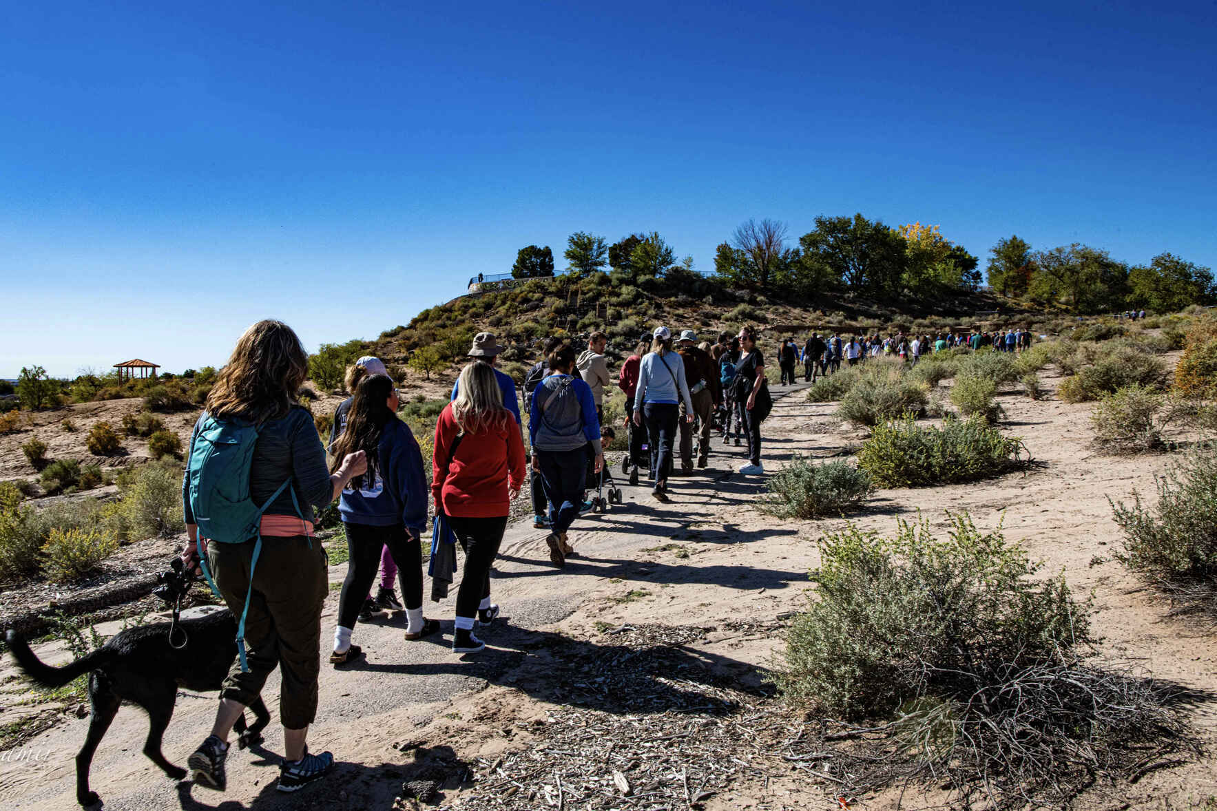 Hikers at one of the previous Hike to End Hunger fundraisers for the Rio Grande Food Project in the New Mexican landscape.